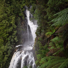 Load image into Gallery viewer, Philosopher falls Waterfall Tasmania 