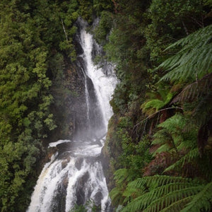 Philosopher falls Waterfall Tasmania 